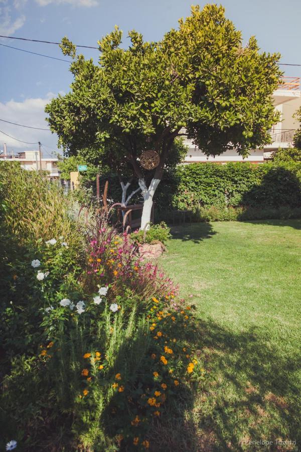 Small Guesthouse In The Garden Amarynthos Exterior photo