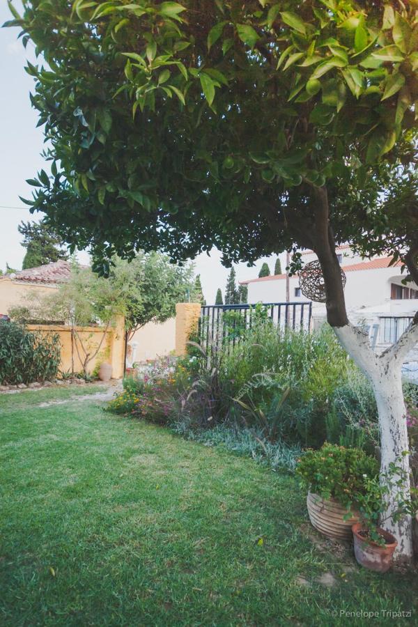 Small Guesthouse In The Garden Amarynthos Exterior photo